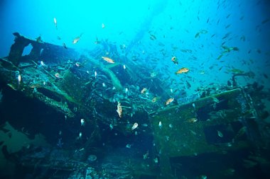 deniz altındaki batık