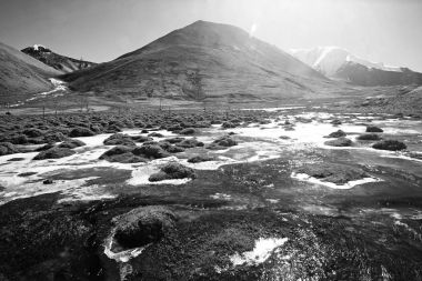Himalaya gösterişli stream  