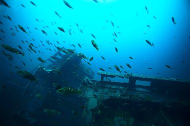 deniz altındaki batık