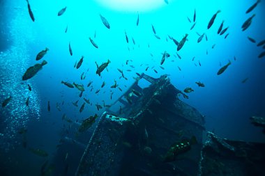 deniz altındaki batık