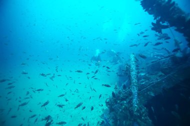 deniz altındaki batık