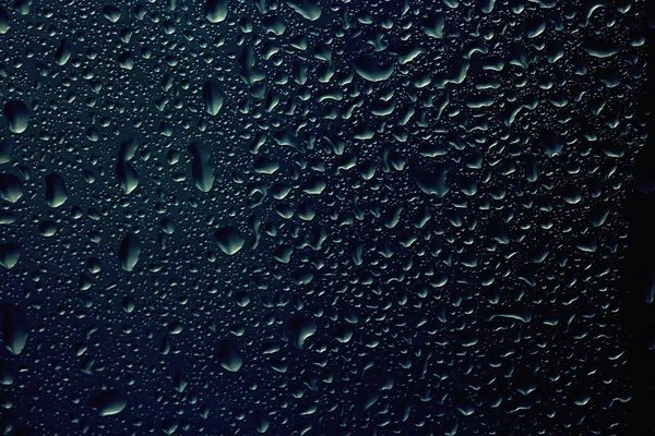 rain drops on window glass