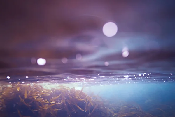 Подводные пузырьки — стоковое фото
