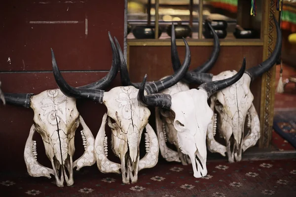 animals skulls in Chinese souvenir shop in Tibet