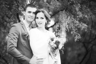 Gelin ve damat yaz Park