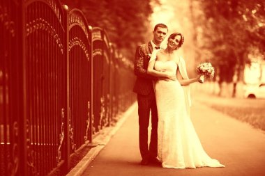 Gelin ve damat yakınındaki antik çit