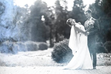 Gelin ve damat Park dans düğün 