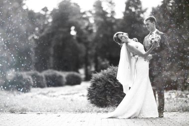 Gelin ve damat parkta 