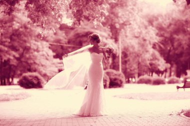 Gelin beyaz gelinlik içinde  