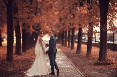 gelin ve damat sonbahar parkında