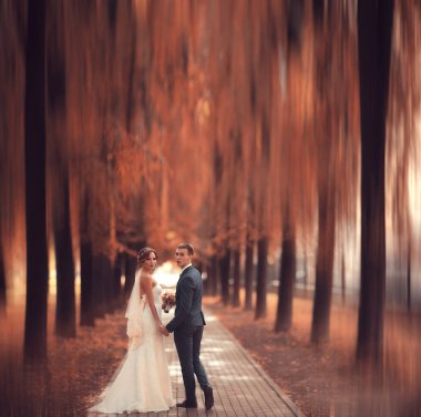 gelin ve damat sonbahar parkında