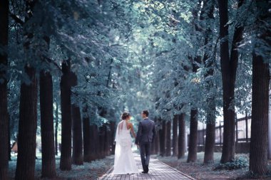 Gelin ve damat yaz Park