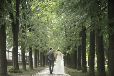 Gelin ve damat yaz Park