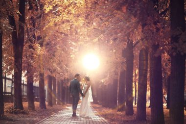 gelin ve damat sonbahar parkında