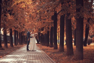 gelin ve damat sonbahar parkında