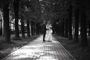 Gelin ve damat parkta 