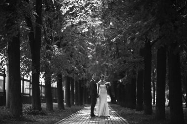 Gelin ve damat parkta