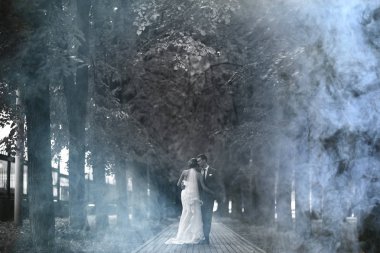 Gelin ve damat parkta 