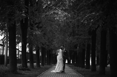 Gelin ve damat parkta