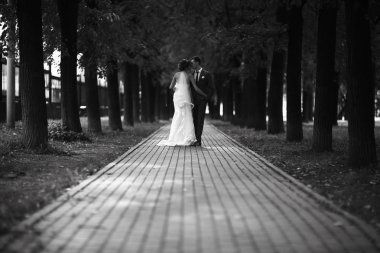 Gelin ve damat parkta