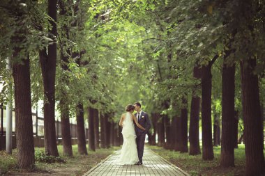 Gelin ve damat yaz Park