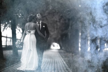 Gelin ve damat parkta 