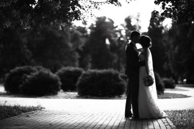 Gelin ve damat yaz Park