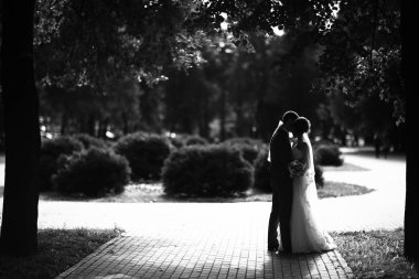 Gelin ve damat yaz Park