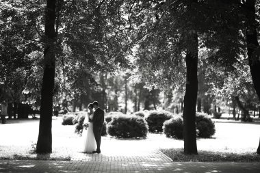 Gelin ve damat parkta