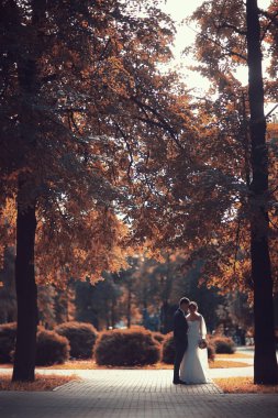 gelin ve damat sonbahar parkında