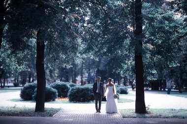 Gelin ve damat yaz Park