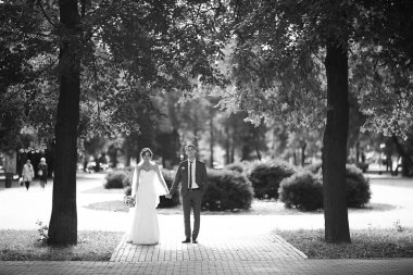 Gelin ve damat yaz Park