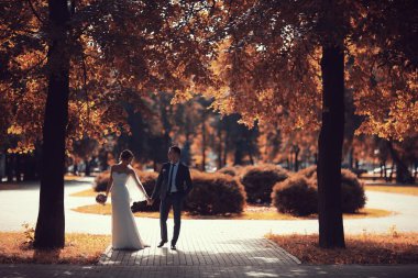 gelin ve damat sonbahar parkında