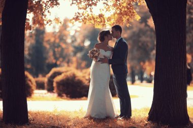 gelin ve damat sonbahar parkında