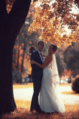 gelin ve damat sonbahar parkında