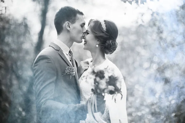 Novia y novio en el parque de verano — Foto de Stock