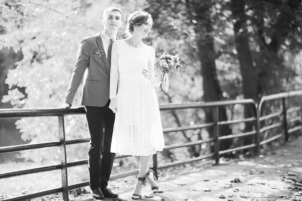 Bride and groom in summer park — Stock Photo, Image