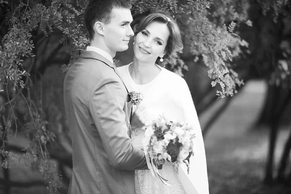 Gelin ve damat yaz Park