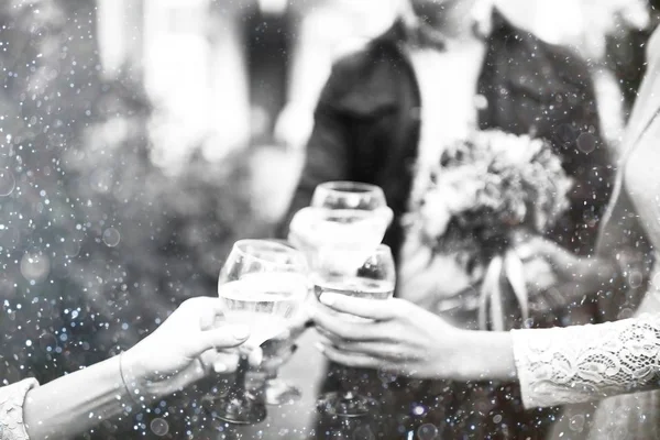 arkadaşlar gözlük alkol, portre, mutlu kutlama partisinde ile sorun