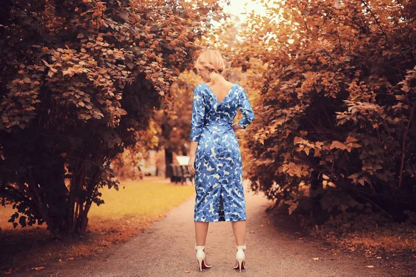 Bella Giovane Donna Posa Nel Parco Autunnale Vista Posteriore — Foto Stock