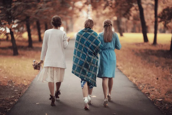 공원에서 산책 하는 신부 들러리 — 스톡 사진