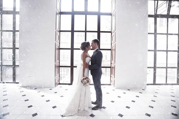 Gelin ve zarif iç groome 