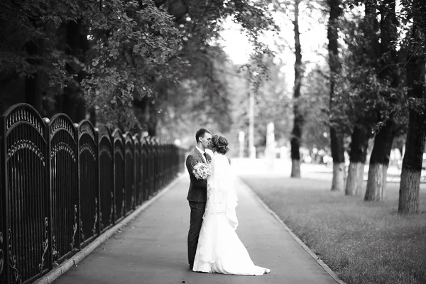 Bruid en bruidegom in zomer park — Stockfoto