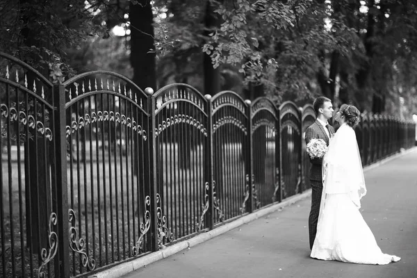 Gelin ve damat yaz Park