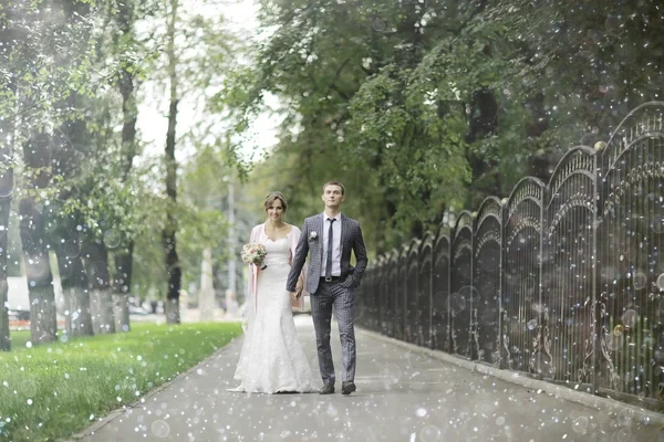 Gelin ve damat yaz Park