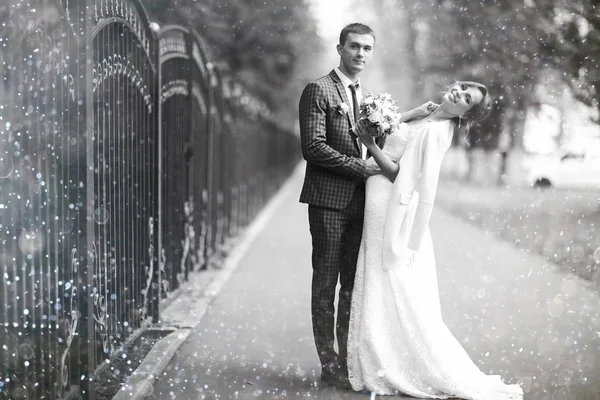 Noiva e noivo perto de cerca antiga — Fotografia de Stock