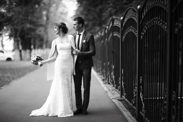 Gelin ve damat yakınındaki antik çit