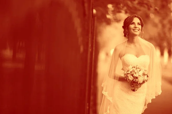 Novia con ramo de flores — Foto de Stock