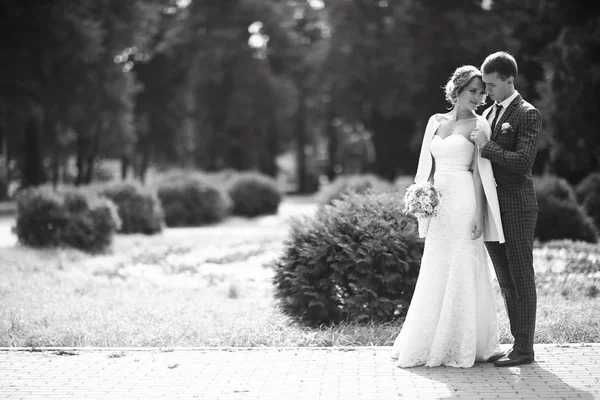 Gelin ve damat parkta 