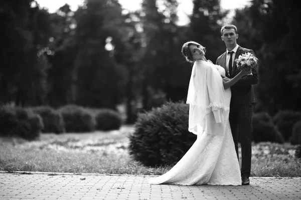 Gelin ve damat Park dans düğün 